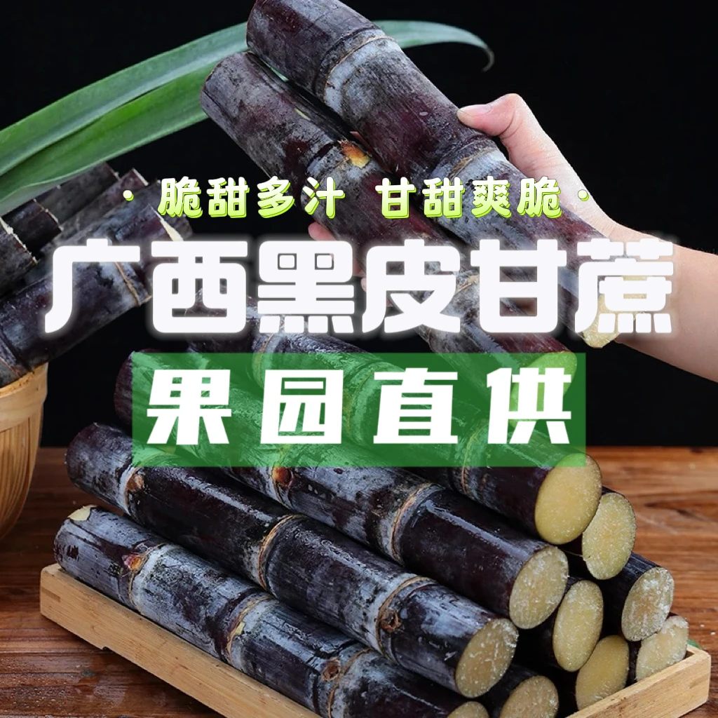 广西黑皮甘蔗应季新鲜水果脆甜多汁现砍现发