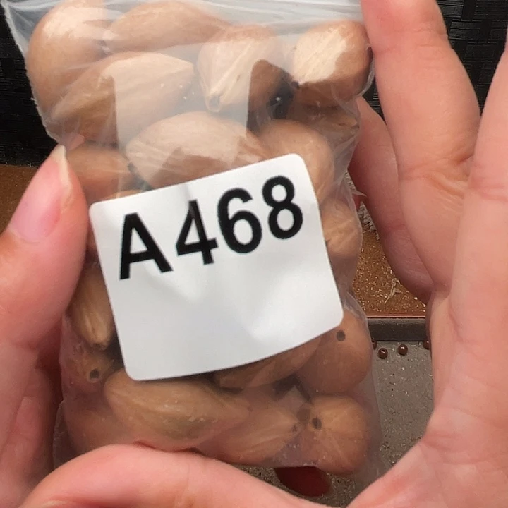 也***晴手串/手链橄榄核橄榄