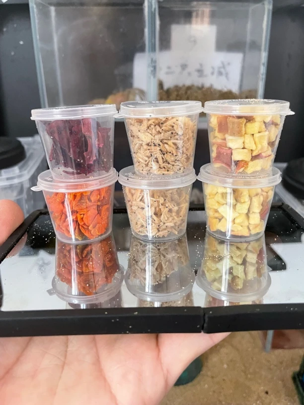 沙蟹寄居蟹专用果蔬冻干虾米营养粮食组合套餐