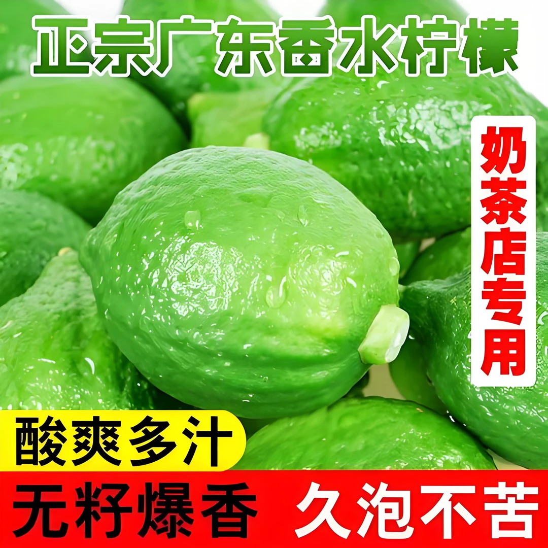 广东无籽香水柠檬 新鲜采摘 爆香多汁 果香浓郁 【奶茶店专用水果】