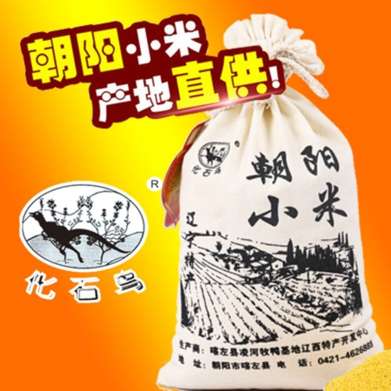 化石鸟2025年黄小米朝阳特产3斤