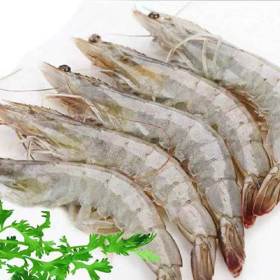 海水大虾5斤 速冻锁鲜 13-16cm（60-75只）顺丰发货 12-15只/斤 5包