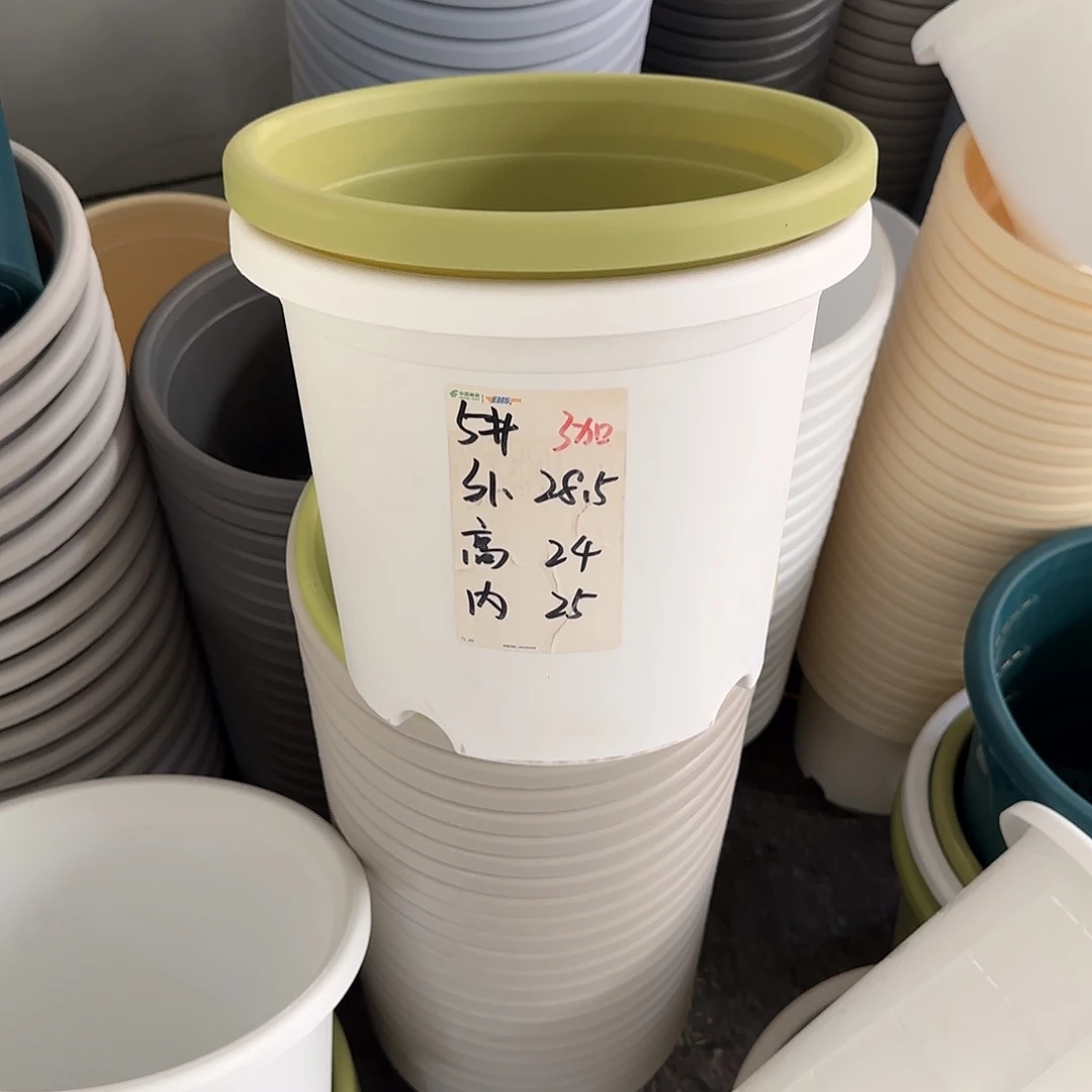 微瑕5号6个无托，白色