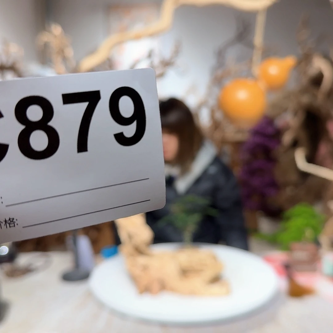 风车木（黑檀木）墩*