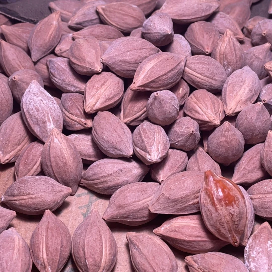 雲***游橄榄核手串/手链不退不换wrtyi