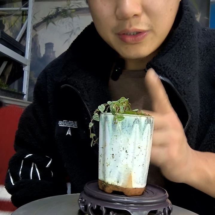 我***良中青园艺一物一拍花266