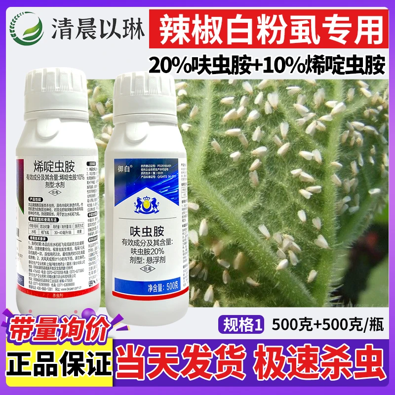 烯啶虫胺+呋虫胺白粉虱专用杀虫剂农作物果蔬辣椒白粉虱正品农药