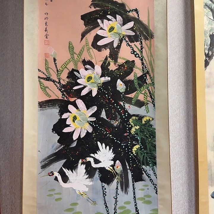 小张专拍专用链接