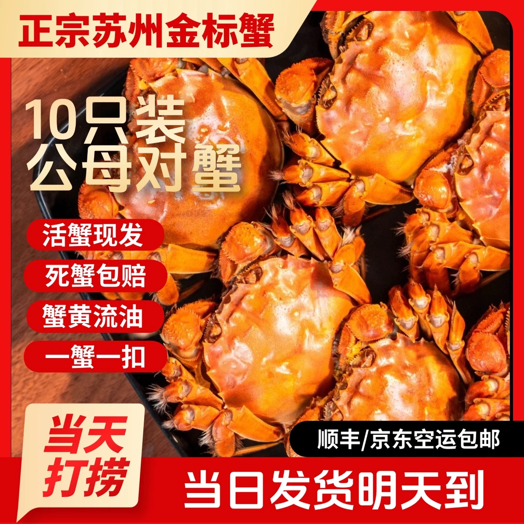 【苏州活蟹现货】江苏鲜活大闸蟹公蟹5.1-4.8两母蟹4.1-3.8两5对10只精品金标蟹全母 海鲜 鲜活现捞河蟹zb