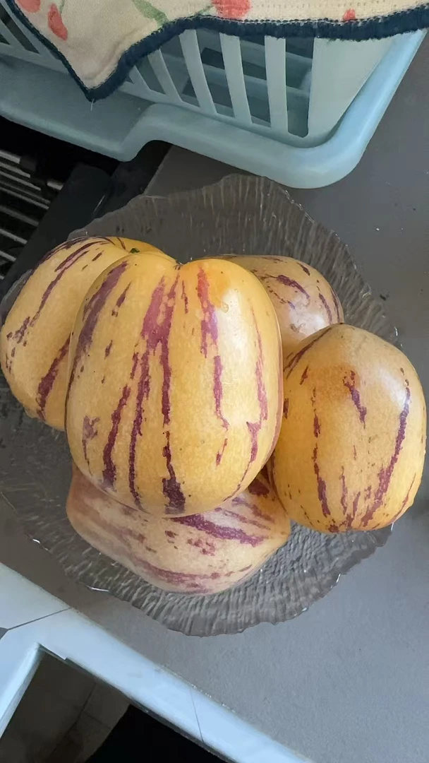 民勤沙漠人参果专属链接（偏远地区）