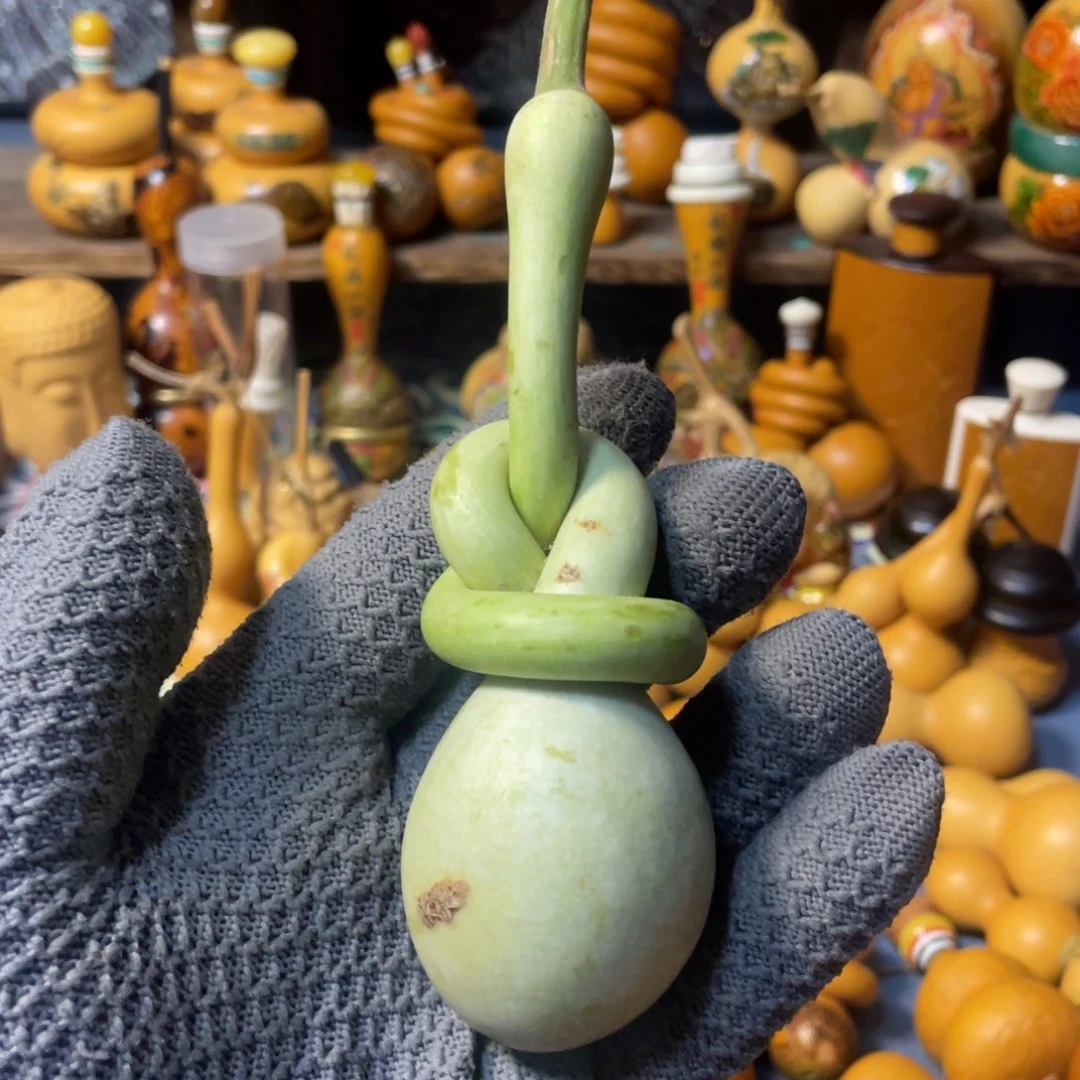 木崔德才八字扣青皮