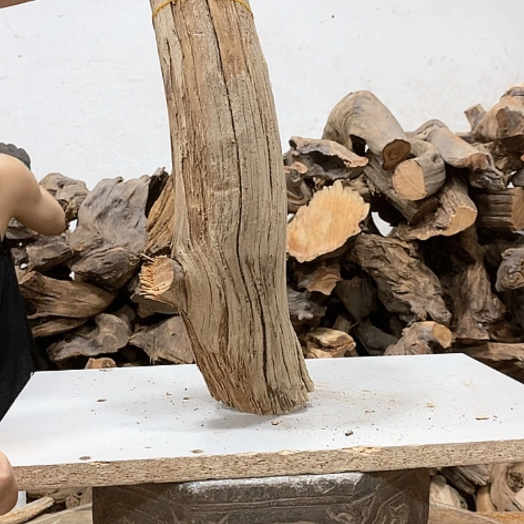 【闪购商品】柏木?*哥我们都是好孩子