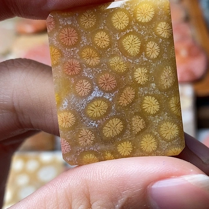 秋***雨硅化玉未镶嵌吊坠