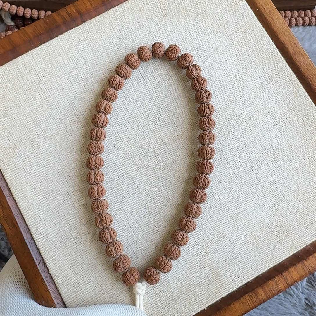 吊坠金刚菩提老树梅花8+全品