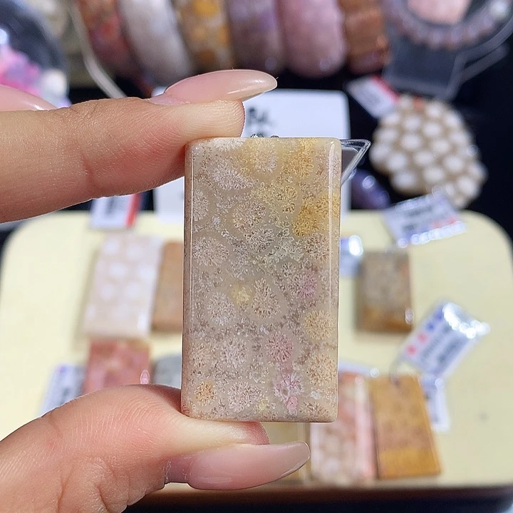 硅化珊瑚（珊瑚玉）未镶嵌吊坠(赠链)8号吊坠