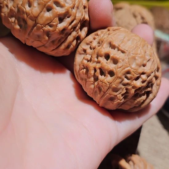 文玩核桃吊坠44大团圆