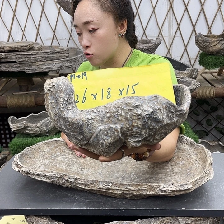 盆景盆异性花盆鱼缸p1-019