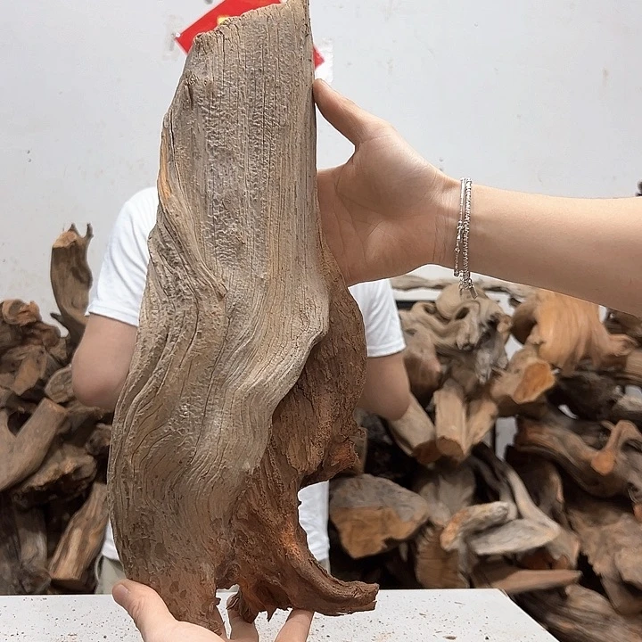 柏木好**钱我们都是好孩子呀我也是