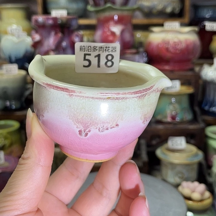 狼盆内口径6高度5