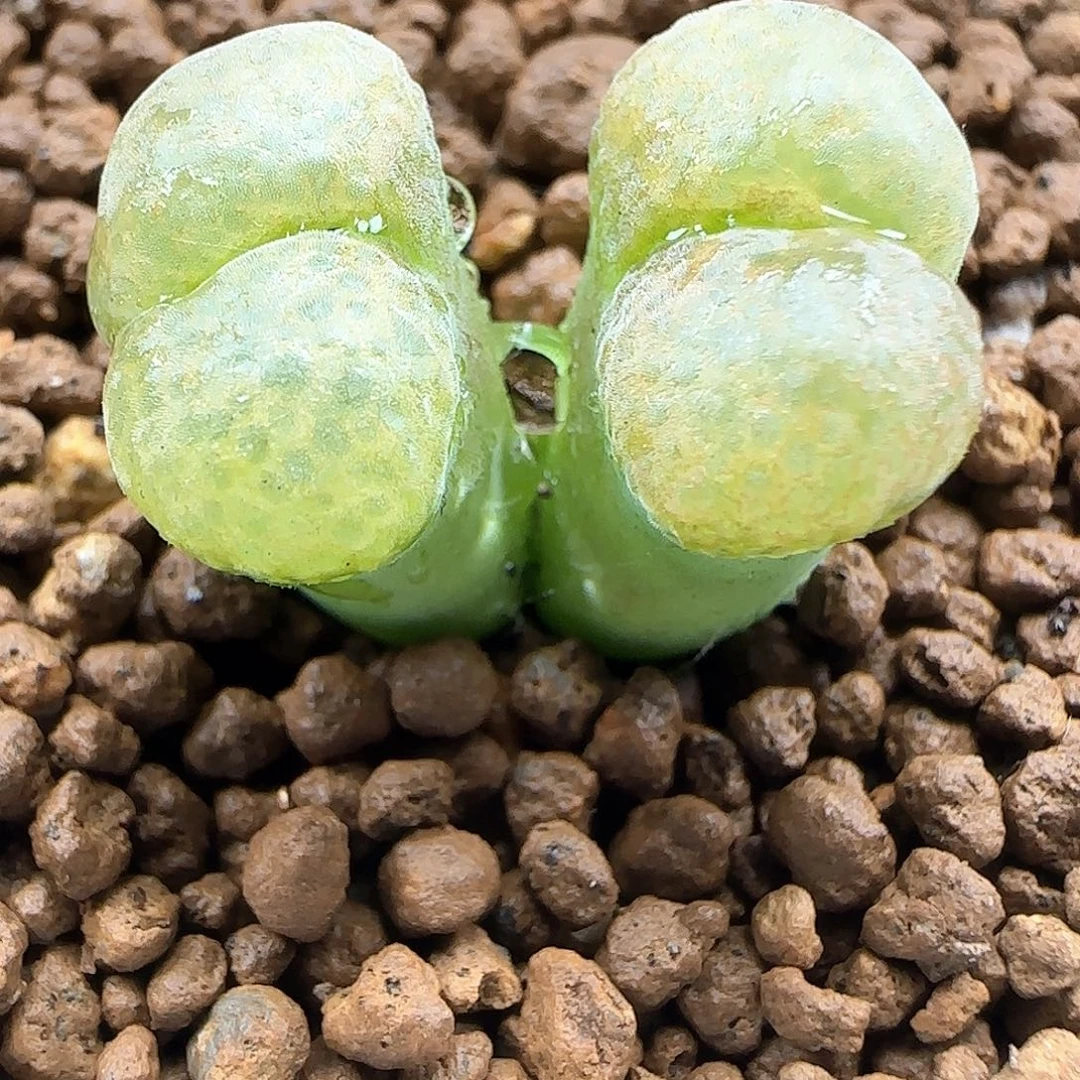 我***卡哈哈哈哈哈哈哈49663