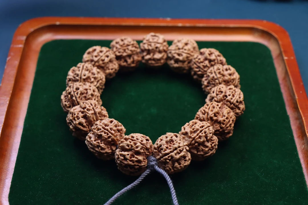 纯原生态蜂窝双龙矮桩大金刚