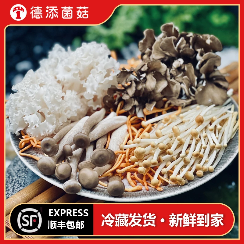 【菌菇福利套餐】特色菌菇 老品种黄金针菇 秀珍菇 绣球菌 鹿茸菇