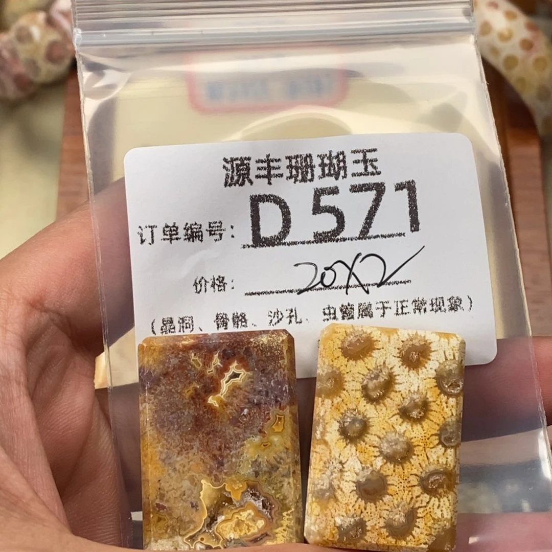 杰***j硅化玉未镶嵌颈饰