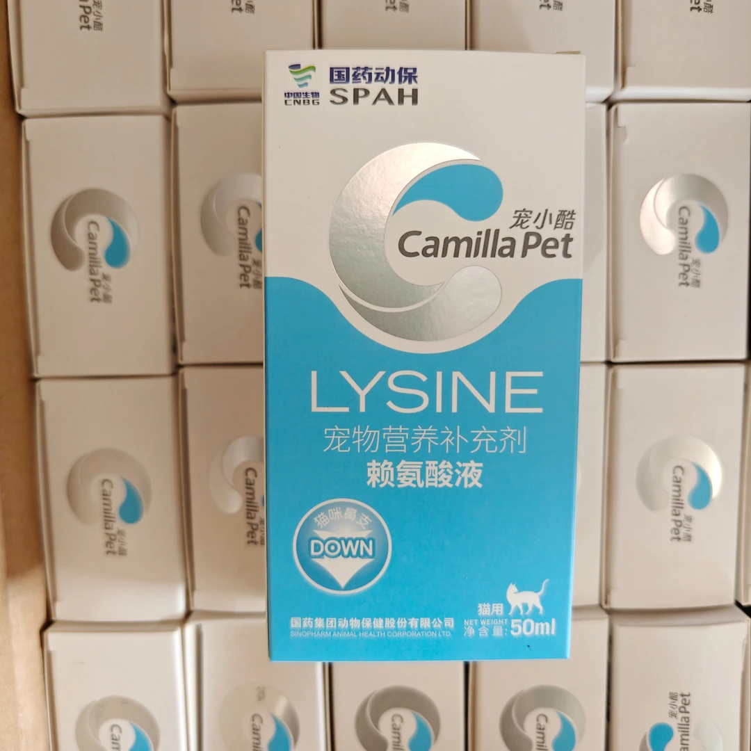 万粉福利 宠物用品【2】L