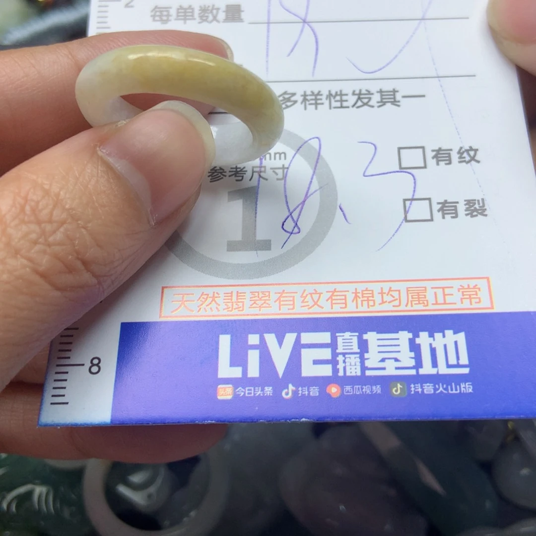 翡翠颈饰未镶嵌天然翡翠