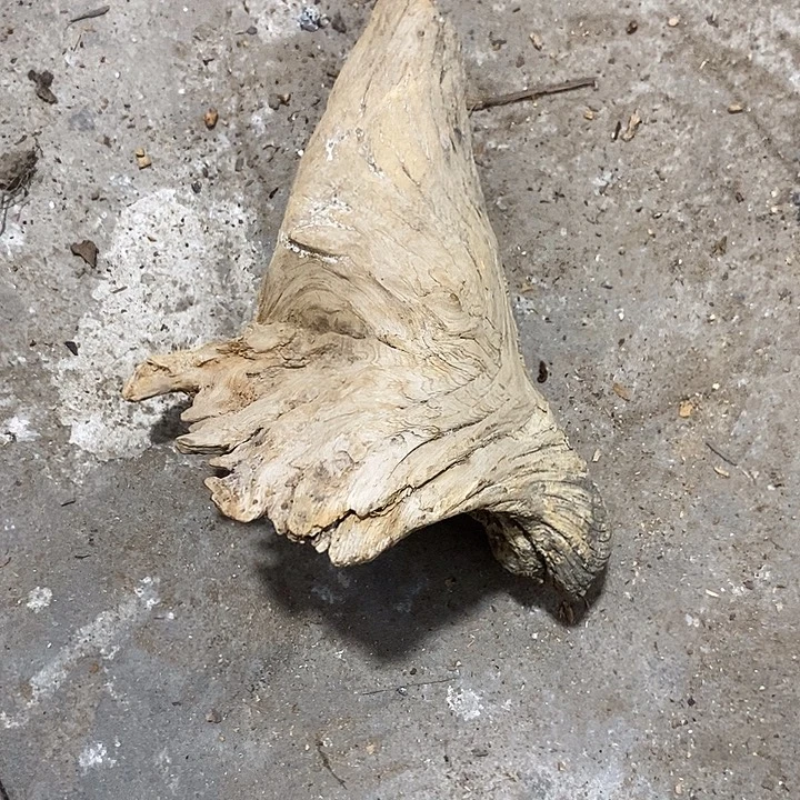 用***4柏木精品小店买了一个
