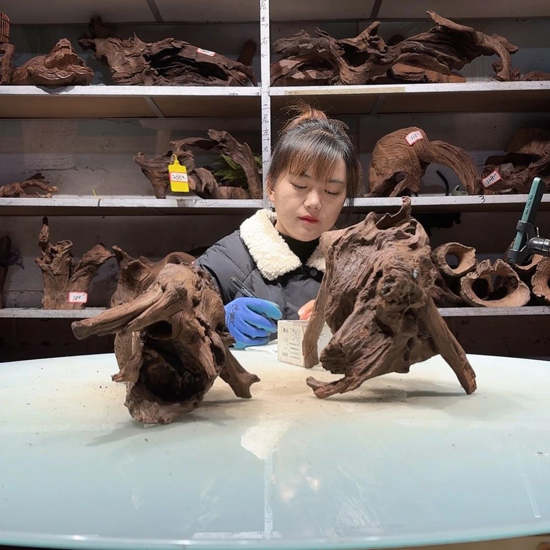 倍褚沉木不包损，必褪色新0917-2