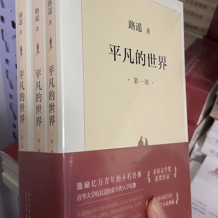 平凡的世界    平装带塑封