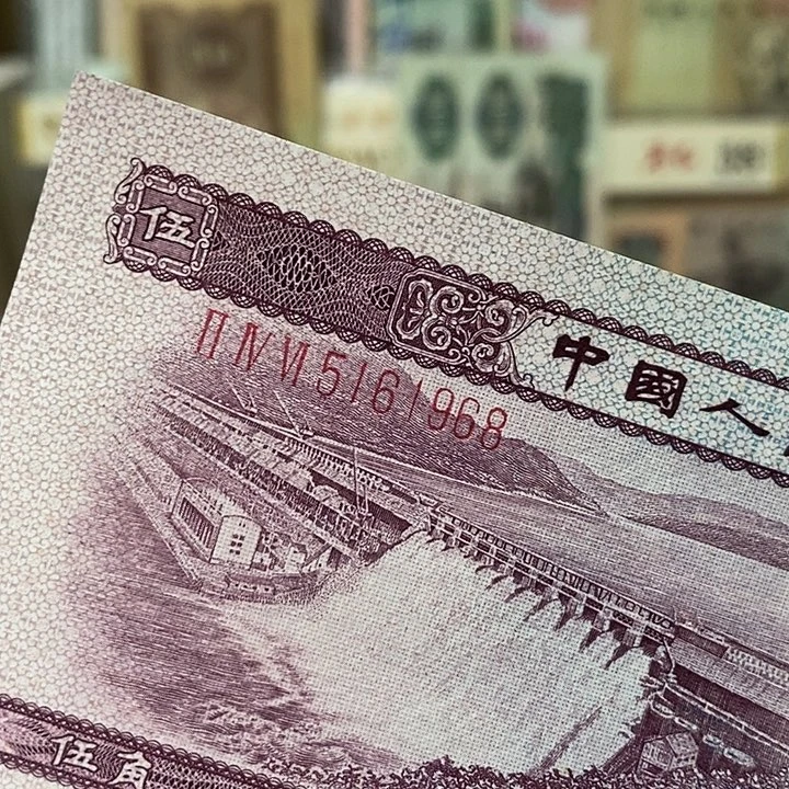 浅水坝绝品金马号5161968