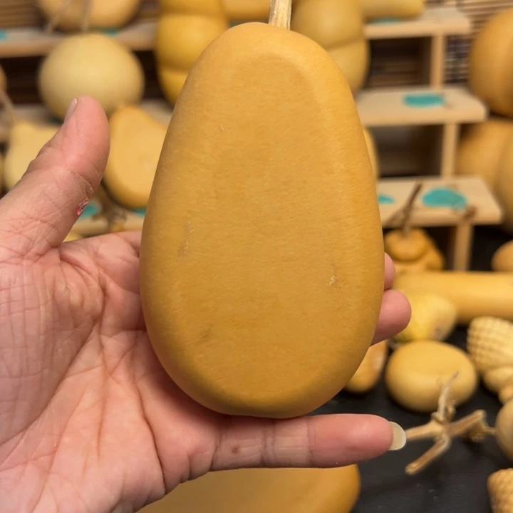 陈*侃33333333336666666