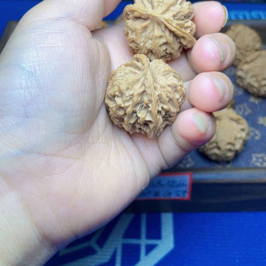 大叶紫檀（黑酸枝木类）