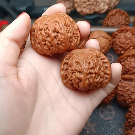 核桃白狮子头狮子头