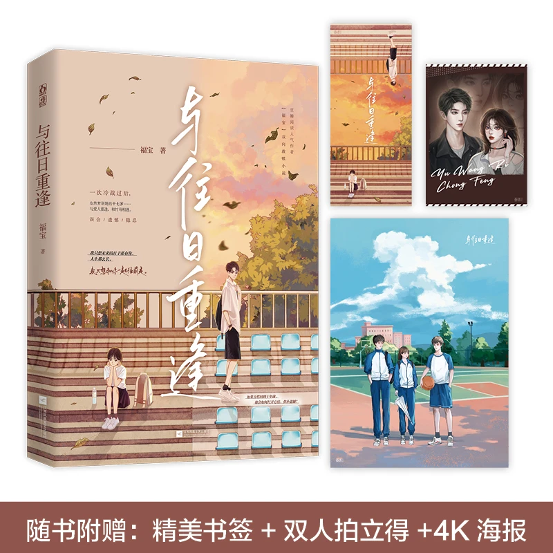 与往日重逢  正版书籍精选好书