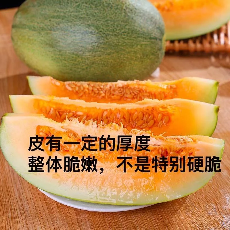 【中通】三亚海沙地哈密瓜   南宁仓发货