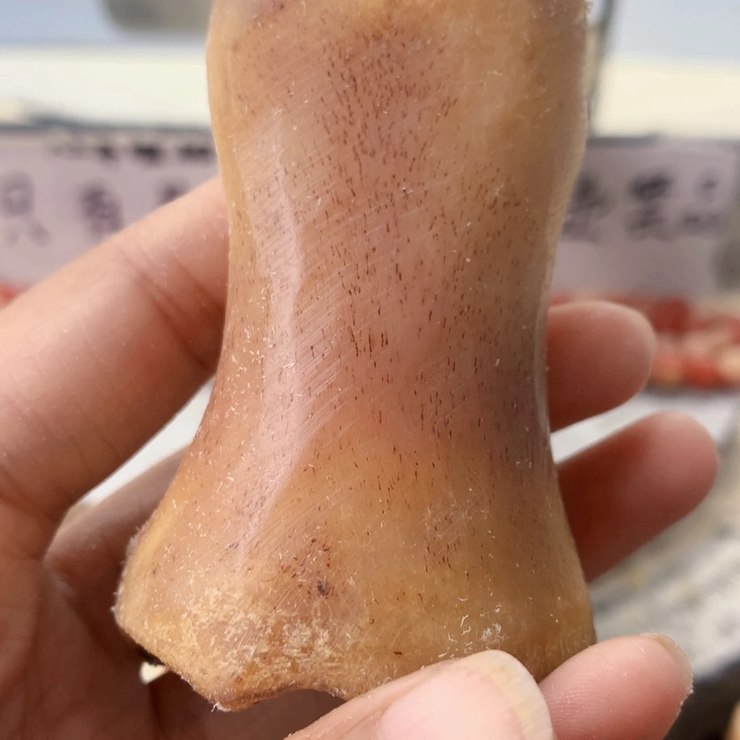 手串/手链驼骨掌骨