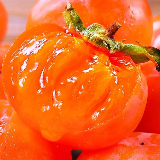 B2【放软吃】火晶柿子软糯香甜爆汁新鲜采摘七月黄