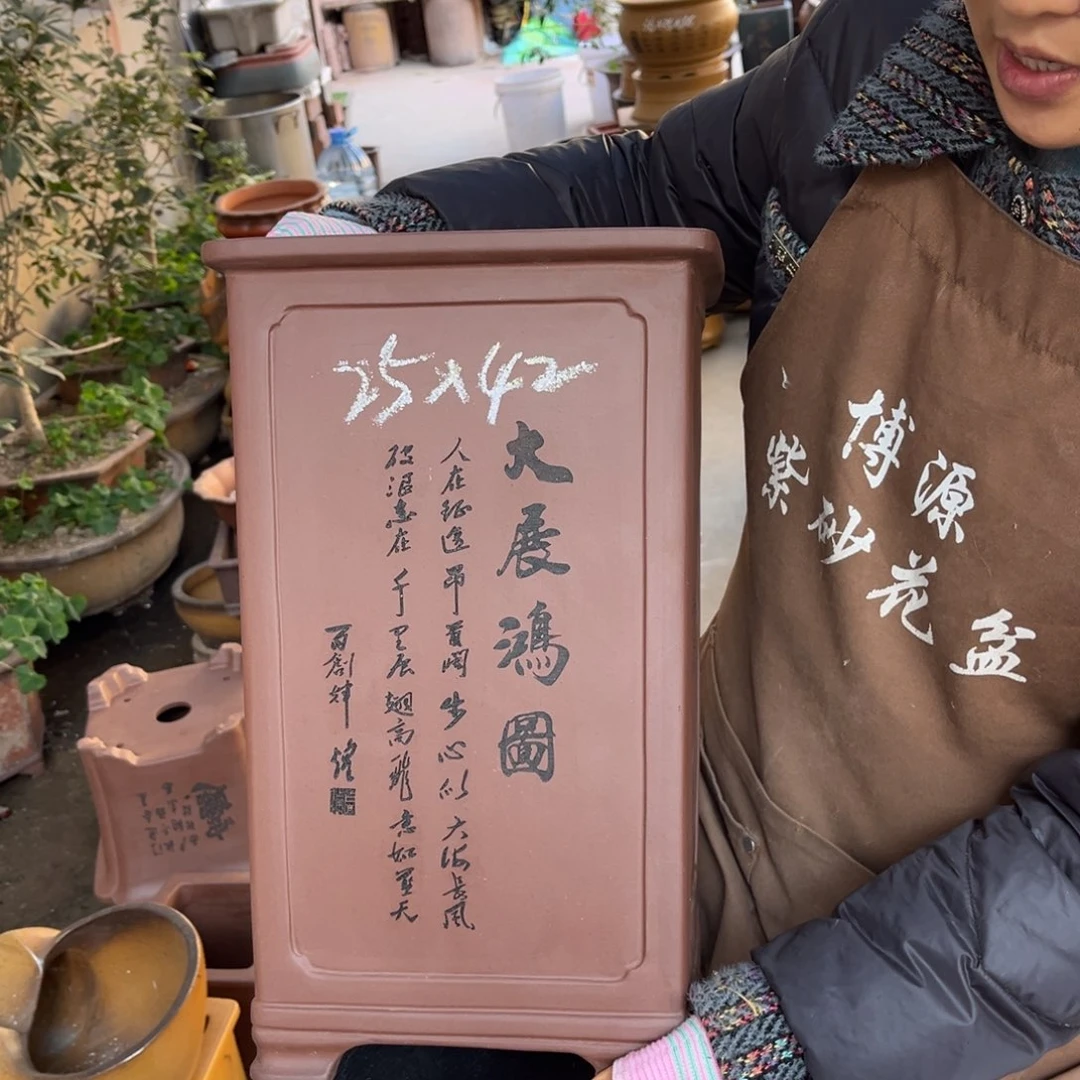 花盆紫砂盆景艺术