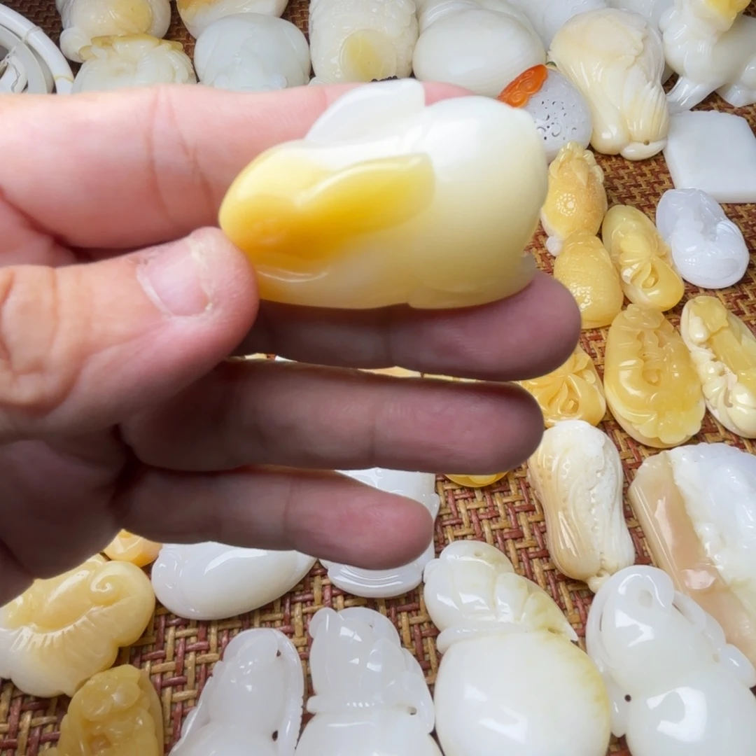 君***水非金属贝壳天然贝壳