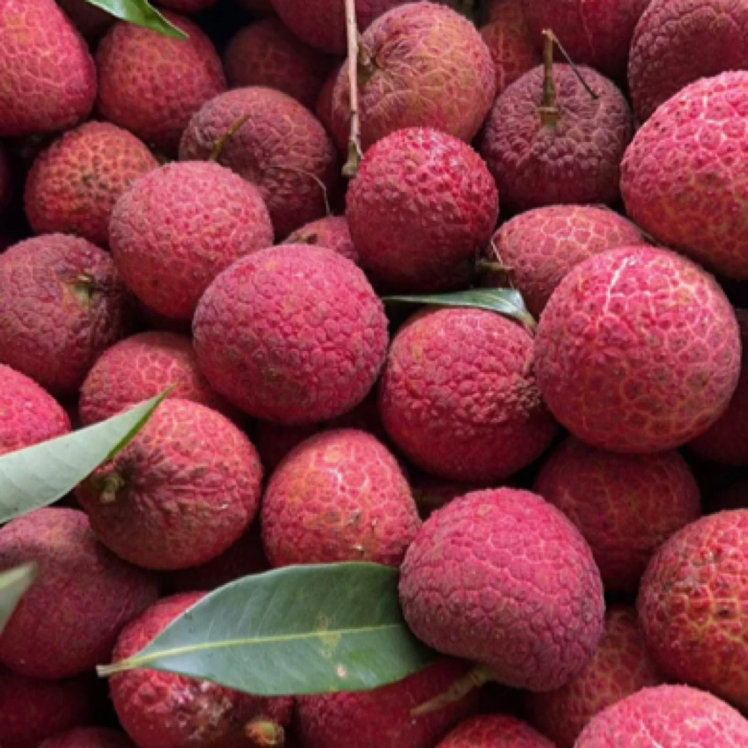 直播间一树一拍转用