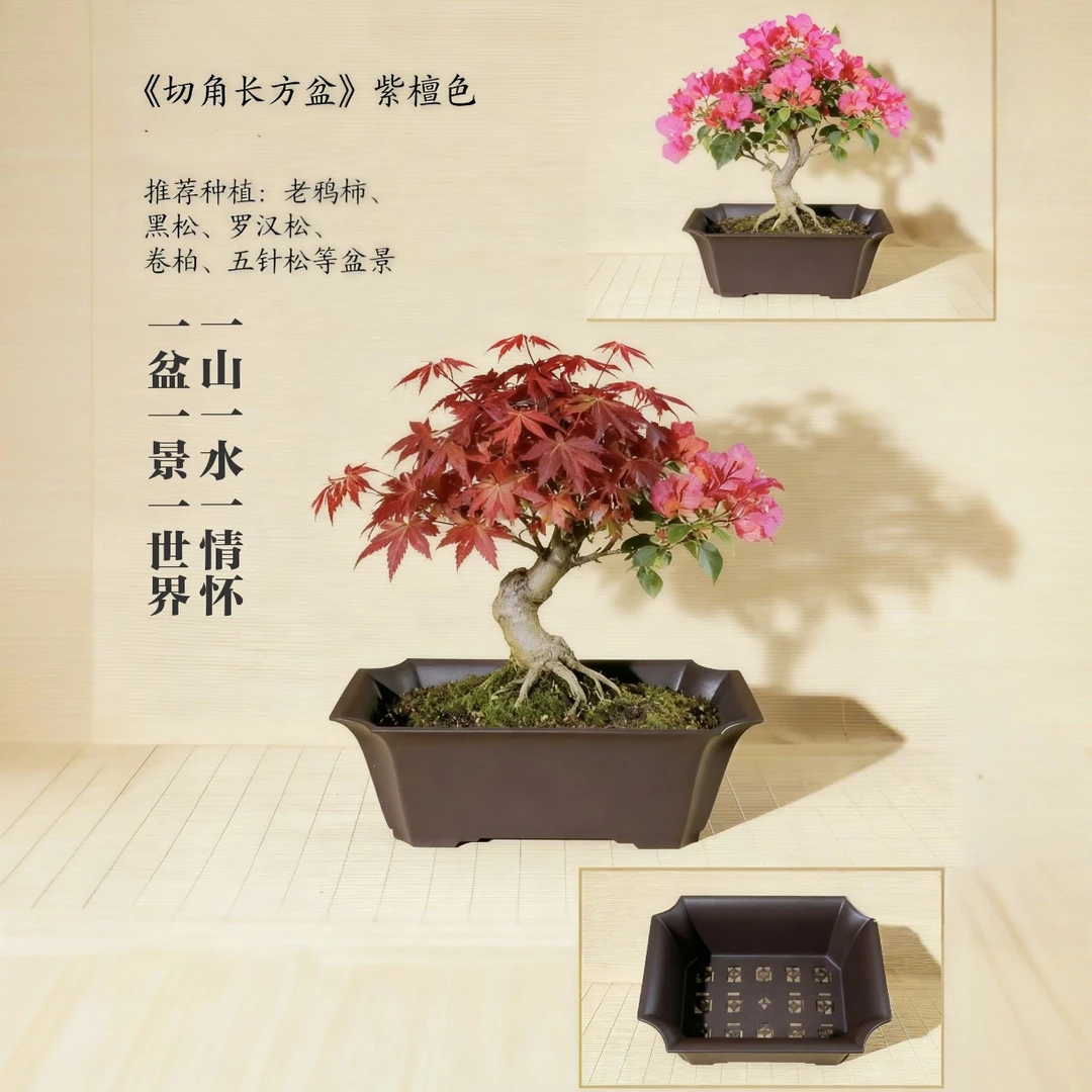 塑料种菜花盆树脂长方中号小号长方形花盆花盆花盆清仓捡漏大号