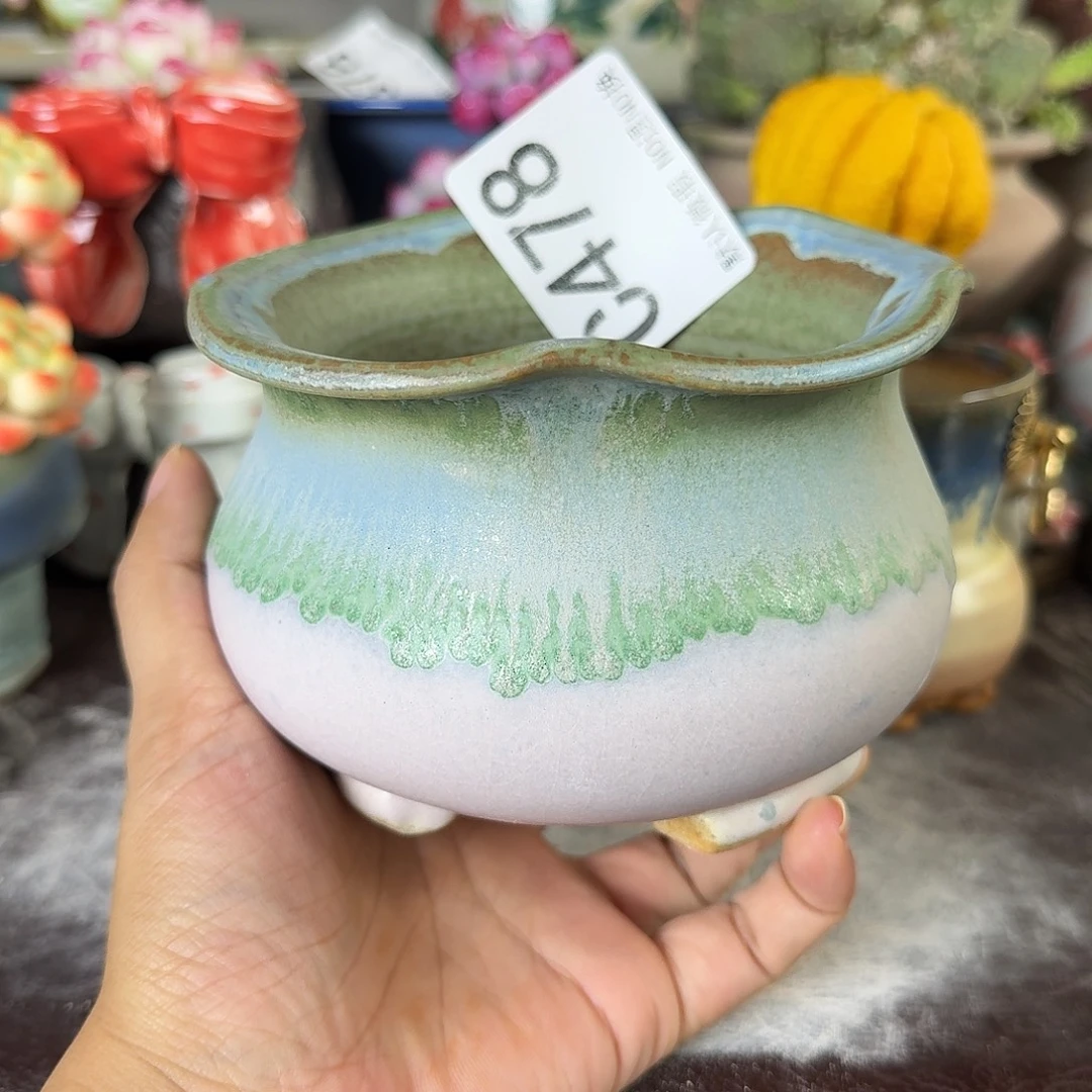 重庆小燕子欢迎大家478