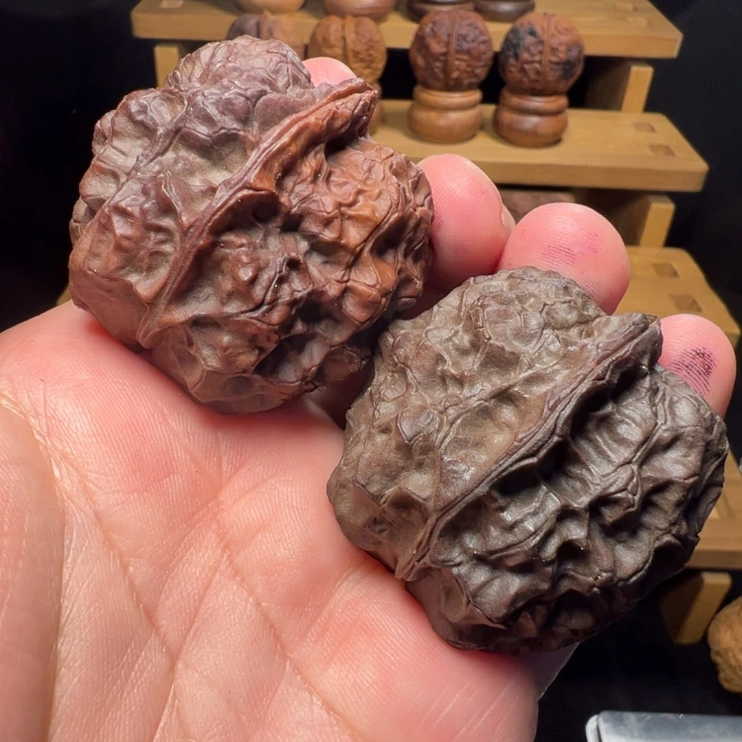 文玩核桃吊坠鹰嘴皇冠44mm