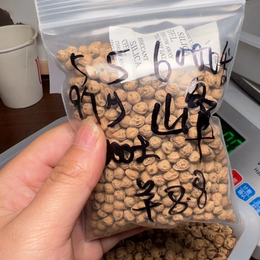 柏香籽/百香籽吊坠峰*