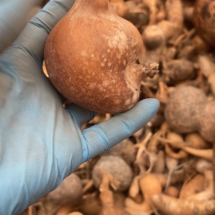 青***水有机玻璃直播间里的拍品链接