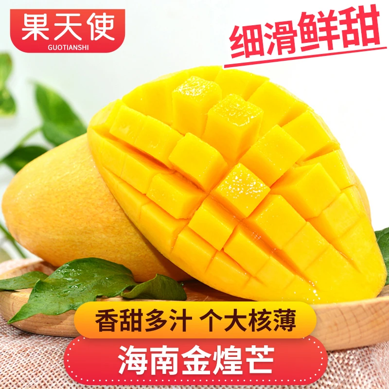 【果天使】海南金煌芒2-8斤香甜多汁个大肉厚新鲜芒果好吃助农