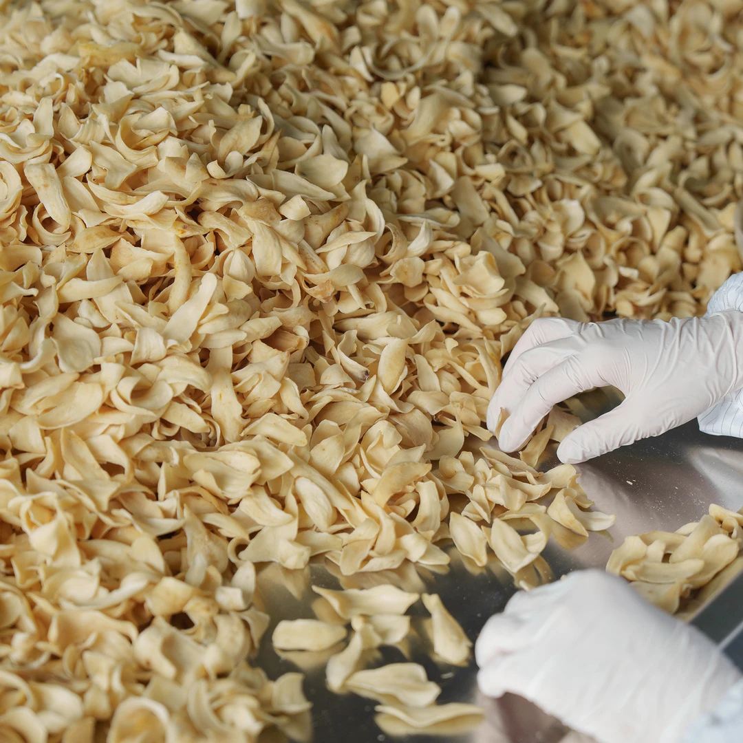 云记丨龙牙粉百合220g丨湖南隆回丨甜白合干百合片干货丨煲汤煮粥